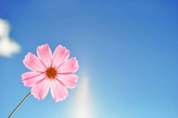 数学答题技巧！浙江成考数学怎么蒙到40分以上?