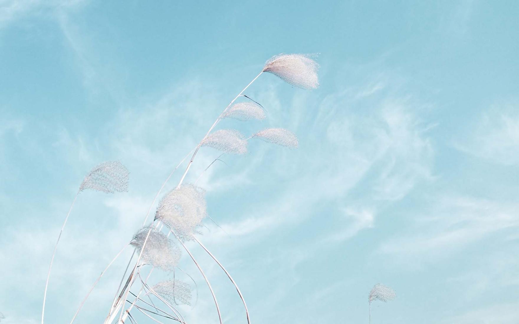 浙江成考专科药学专业可以考执业药师吗？