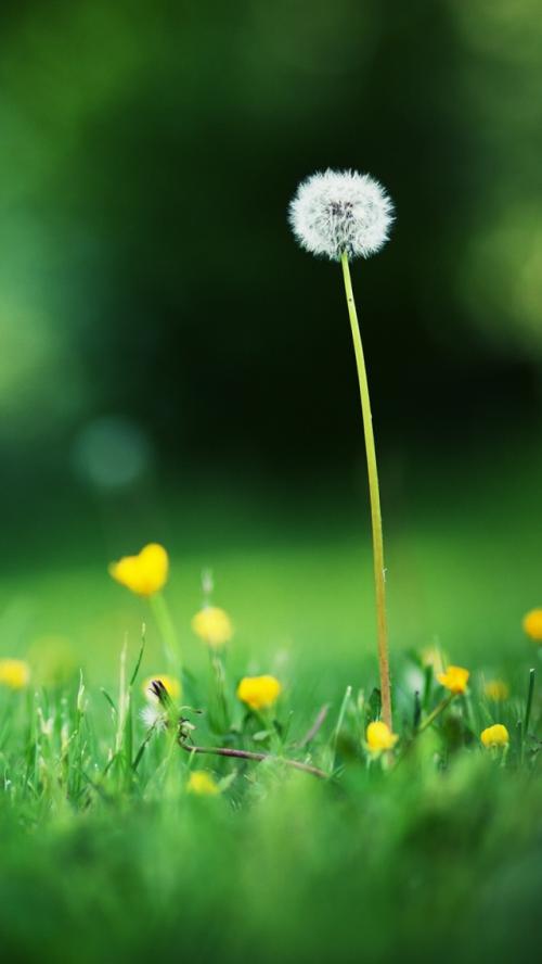 初中学历可以报考参加浙江成考吗？