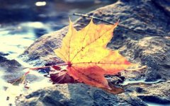 报考浙江成考有年龄限制吗？