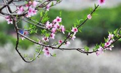 2022年浙江省成人高考参加考试后几月份入学？