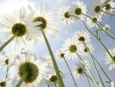 浙江成人学位证书编号和毕业证编号的区别有哪些？