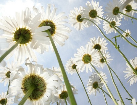 浙江成人学位证书编号和毕业证编号的区别有哪些？