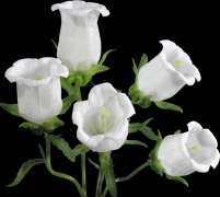 浙江成考函授专升本需要读几年？