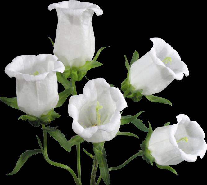 浙江成考函授专升本需要读几年？