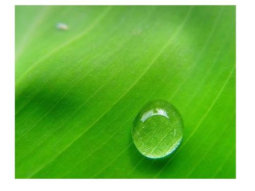 浙江函授大专可以考教师资格证吗