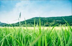 2022年浙江成人函授大专是开卷考试吗？