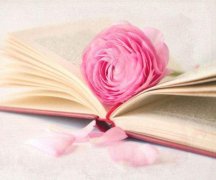 如何轻松应试2022年成人高考的三大建议