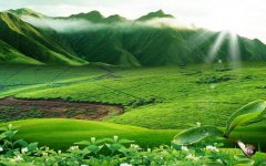 英语零基础怎么备考浙江成人高考呢？