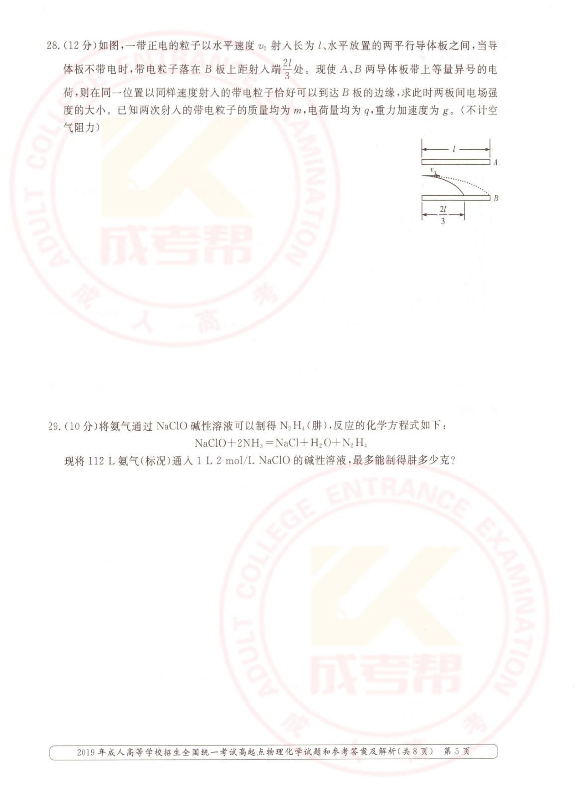 2019-5.jpg 2019-5.jpg