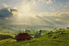 2022年浙江杭州成人高考考试可以找人替考吗?