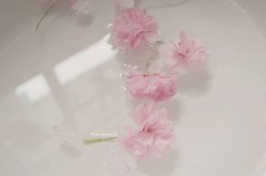 浙江成考和远程教育的区别