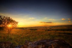 浙江成考难不难?疫情会不会影响成考?