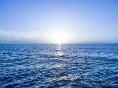 2020年浙江成考专业如何选择？