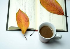 2020年浙江成考院校和专业志愿如何选择？